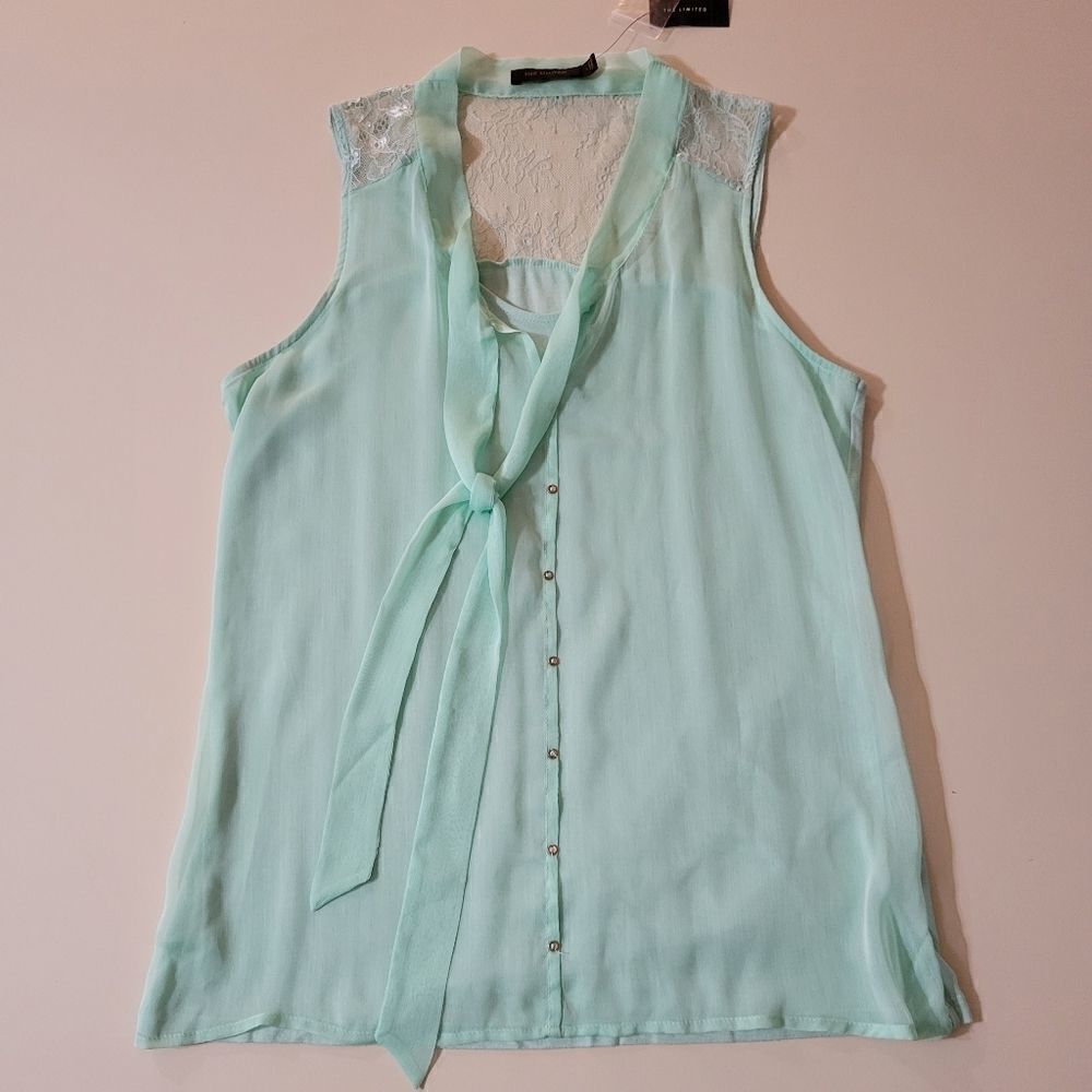 The Limited Sleeveless Mint Blouse